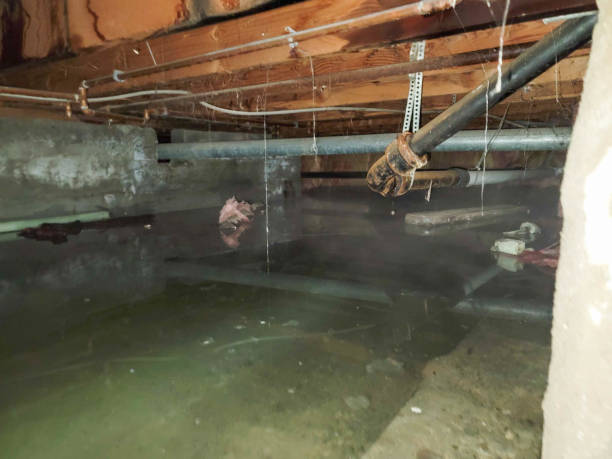 Best Water damage restoration near me  in Swainsboro, GA