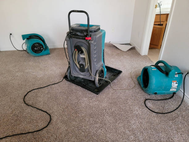 Best 24-hour water damage restoration  in Swainsboro, GA