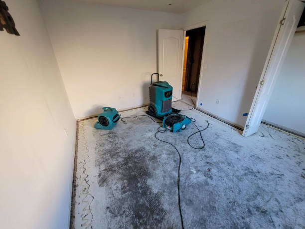 Best Water damage contractors near me  in Swainsboro, GA