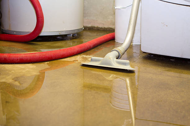 Best Sewage cleanup and water damage restoration  in Swainsboro, GA