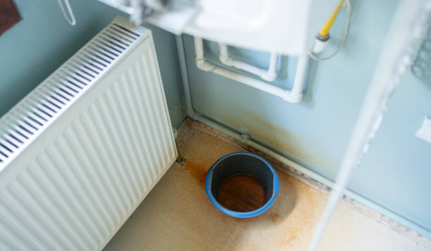 Best Ceiling water damage repair  in Swainsboro, GA