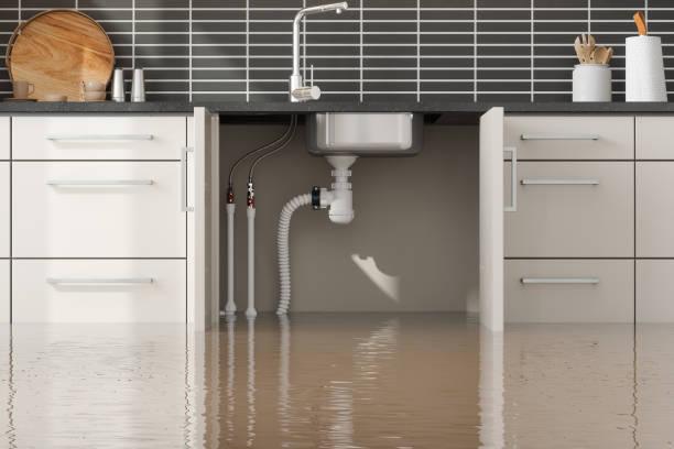 Best Sewage cleanup and water damage restoration  in Swainsboro, GA