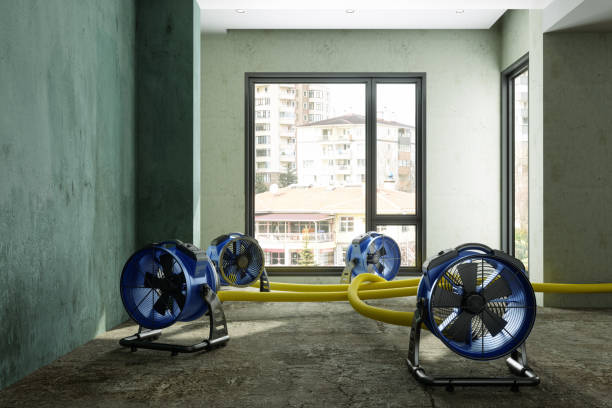 Best Water damage cleanup near me  in Swainsboro, GA
